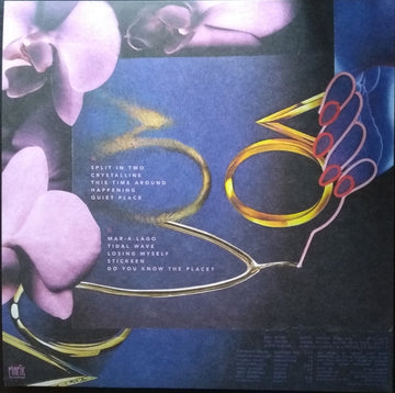 Sugar Candy Mountain : Do Right (LP, Album)