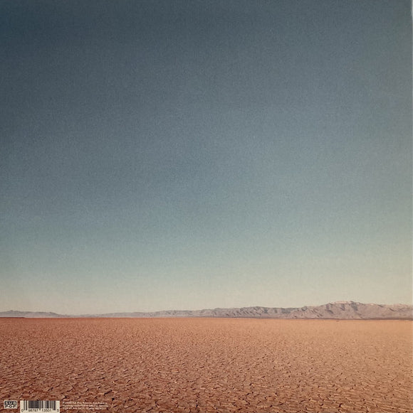 Man Man : Dream Hunting In The Valley Of The In-Between (LP,Album,Limited Edition,Stereo)