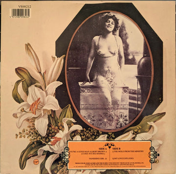 The Dukes Of Stratosphear : You're A Good Man Albert Brown (12", Single)