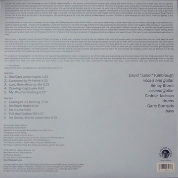 Junior Kimbrough And The Soul Blues Boys : Sad Days Lonely Nights (LP, Album, RE)