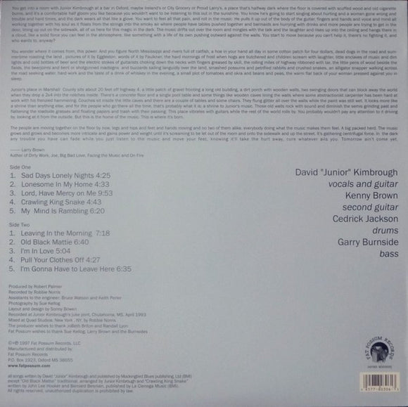 Junior Kimbrough And The Soul Blues Boys : Sad Days Lonely Nights (LP, Album, RE)