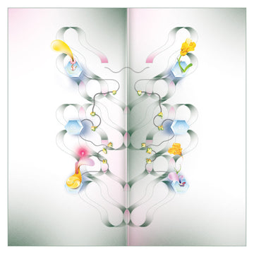 MatthewDavid : Mycelium Music (LP,Album)