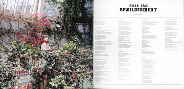 Pale Jay : Bewilderment (LP,45 RPM,Album,Stereo)