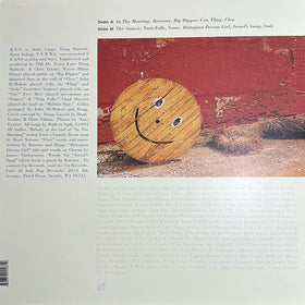 Built To Spill : There's Nothing Wrong With Love (LP, Album, Ltd, RE, 30T)