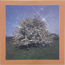 Caribou : Honey (LP, Ltd, Yel)