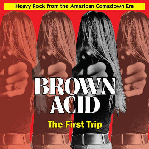 Various : Brown Acid: The First Trip (Heavy Rock From The American Comedown Era) (LP, Comp, Ltd)