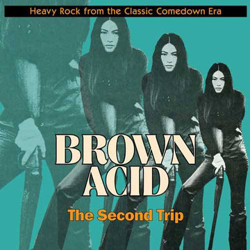 Various : Brown Acid: The Second Trip (Heavy Rock From The Classic Comedown Era) (LP, Comp)