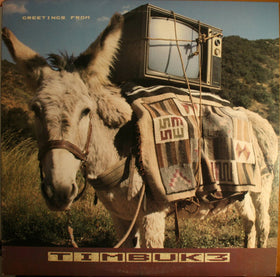 Timbuk 3 : Greetings From Timbuk 3 (LP, Album, Club)