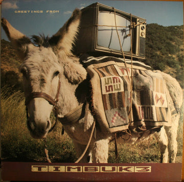Timbuk 3 : Greetings From Timbuk 3 (LP, Album, Club)